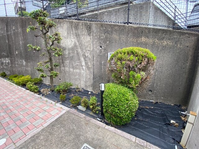 パラディ3の物件外観写真