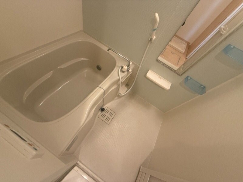 マンダリーナの物件内観写真