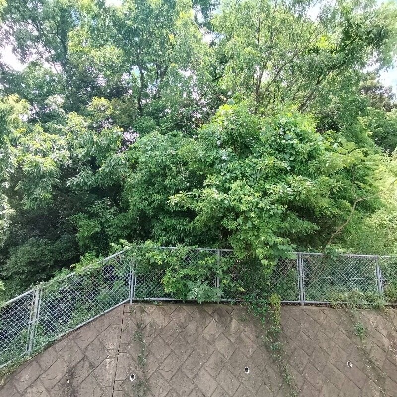 パークヒルズ桜の里B棟の物件内観写真