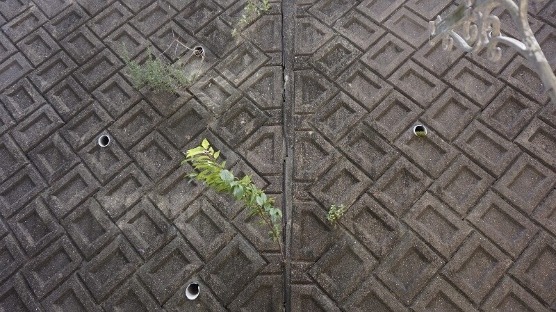 パークサイドハウス88 C棟の物件内観写真