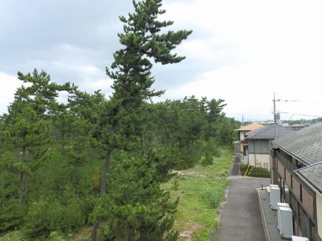 リビングタウン弓ヶ浜C棟の物件内観写真