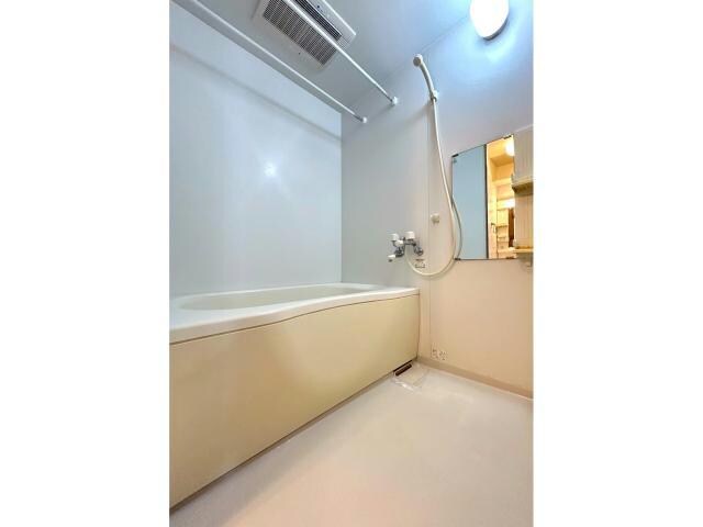 メゾン・ラ・パヴィエ　A棟Sの物件内観写真