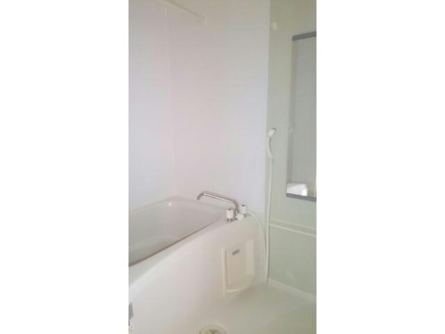 スプリングフィールドBの物件内観写真