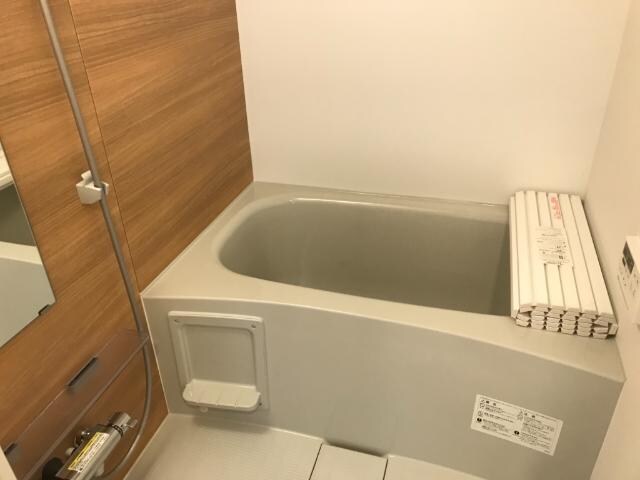 フルール・ド・スリジェの物件内観写真