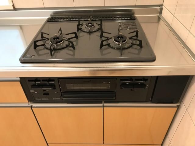 フルール・ド・スリジェの物件内観写真