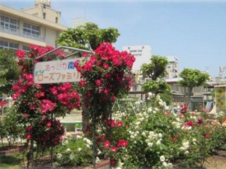 D-residence霞町3丁目の物件内観写真