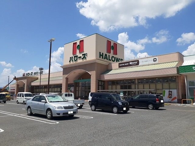 ストレリチア・アルバＡの物件外観写真