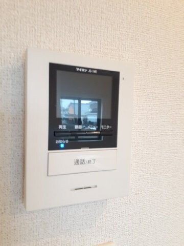 ストレリチア・アルバＡの物件内観写真