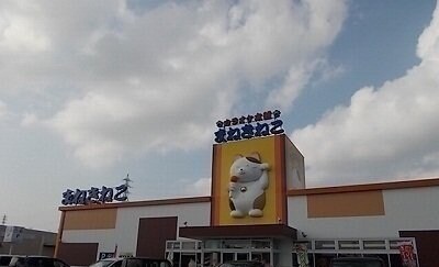 レクサス　Ｅの物件外観写真