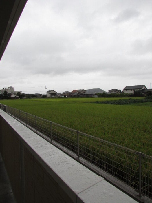 元山駅 徒歩28分 1階の物件内観写真