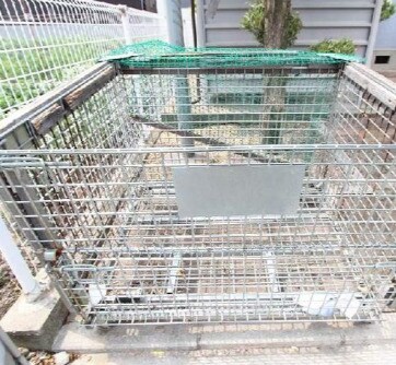 サンライフ川西の物件内観写真