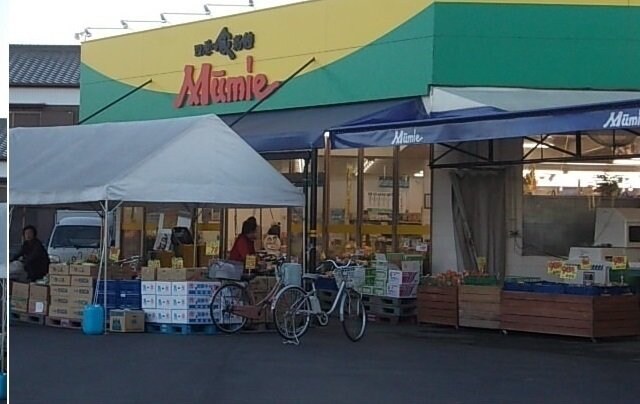 アルテスタの物件外観写真