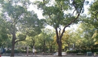 カンパーニュ塩上　Ⅱの物件外観写真