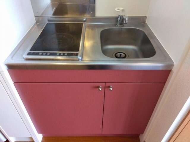 レオパレスクリスマスローズの物件内観写真