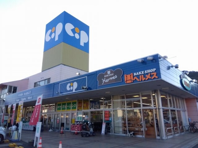 レオパレスシャルマンの物件外観写真