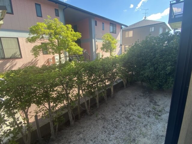 サンキャロットAの物件内観写真