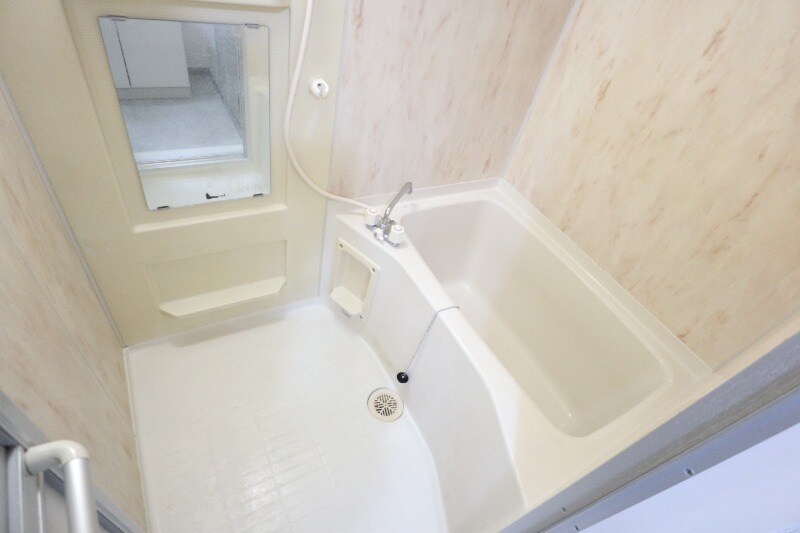 球場前駅 徒歩5分 1階の物件内観写真