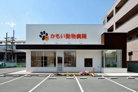 新倉敷駅 徒歩23分 2階の物件内観写真