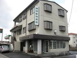 新倉敷駅 徒歩8分 4階の物件内観写真