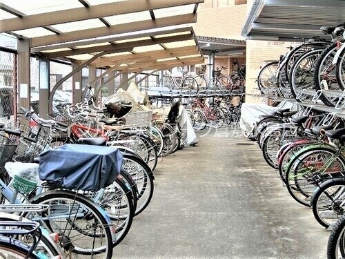 倉敷駅 徒歩13分 10階の物件内観写真