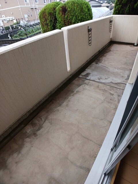 球場前駅 徒歩15分 1階の物件内観写真