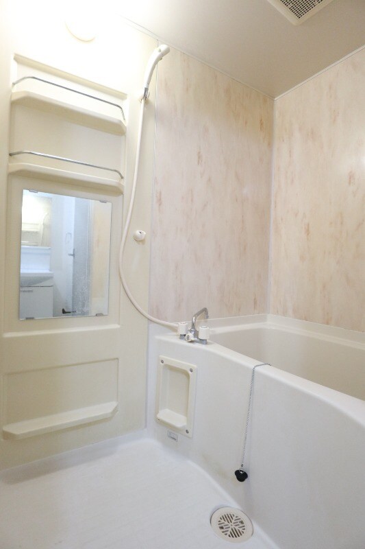 球場前駅 徒歩5分 1階の物件内観写真