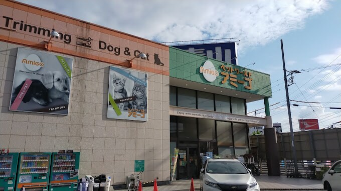 倉敷駅 徒歩13分 12階の物件内観写真