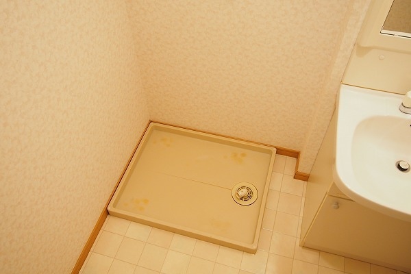 Surplusヴェルデの物件内観写真