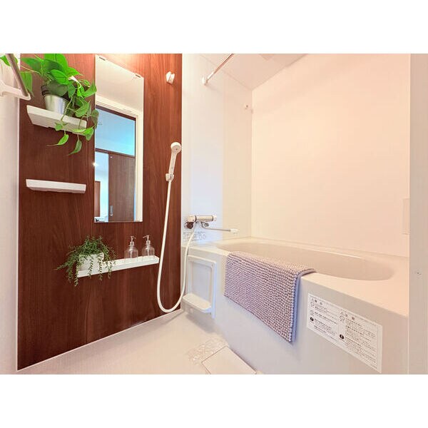 鶴里駅 徒歩5分 1階の物件内観写真