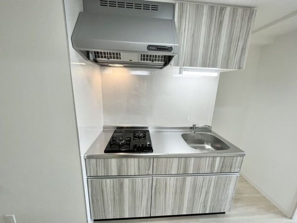 RAFFLE OZONEⅡ -South Garden-の物件内観写真