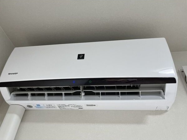 RAFFLE OZONEⅡ -South Garden-の物件内観写真