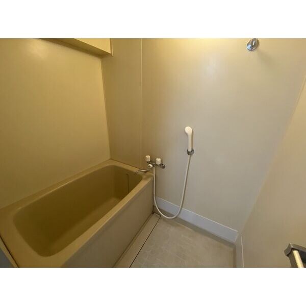 港北駅 徒歩14分 5階の物件内観写真