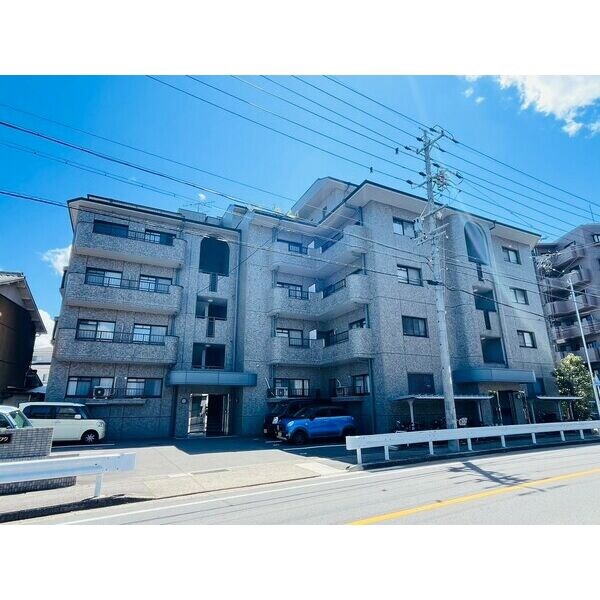 平針駅 徒歩7分 4-5階の物件内観写真