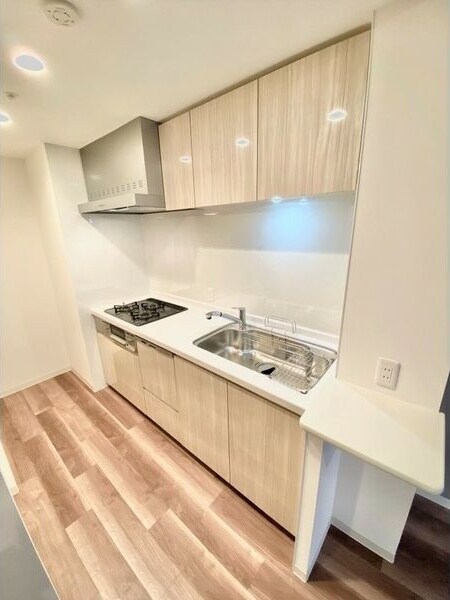 S-RESIDENCE茶屋ヶ坂Eastの物件内観写真