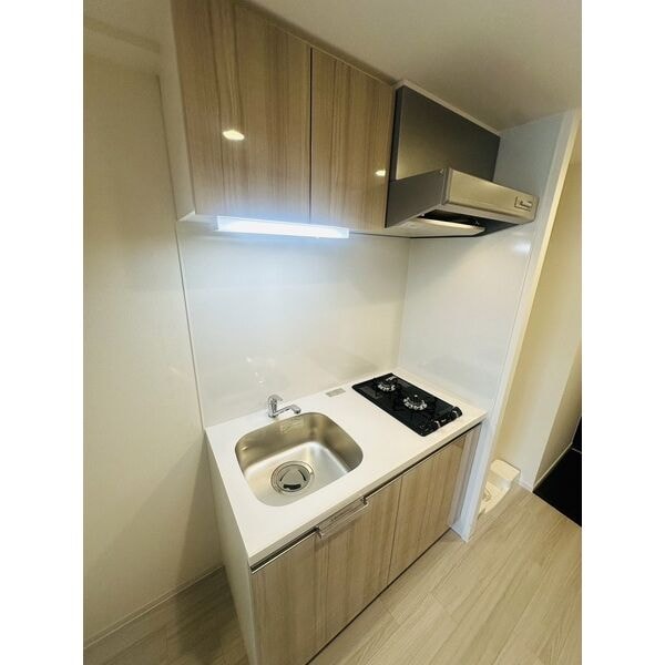 ディアレイシャス名古屋太閤通Ⅱの物件内観写真