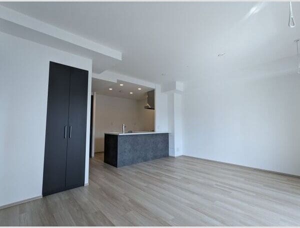 グランパセオ名駅那古野の物件内観写真