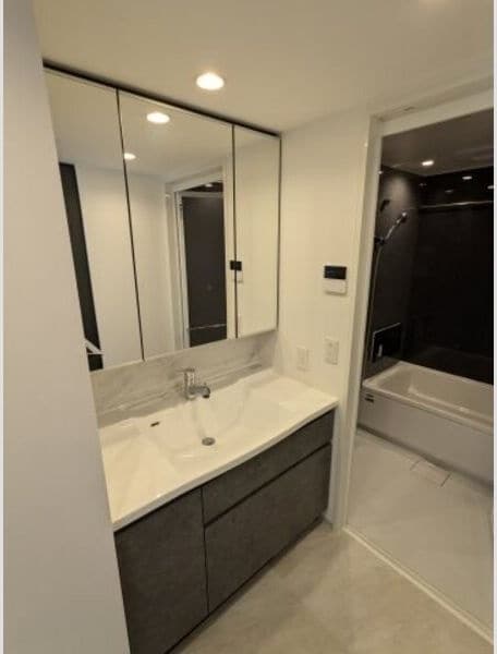 グランパセオ名駅那古野の物件内観写真