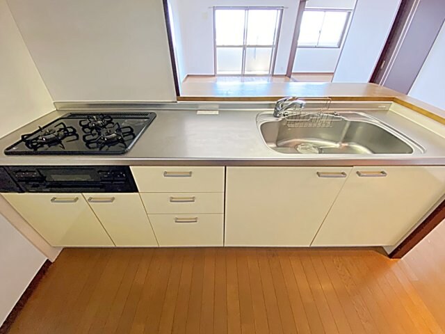 Hill Palace IKAIの物件内観写真