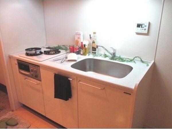 レインボーピア記念橋の物件内観写真