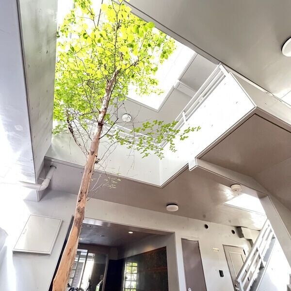 Add  Wistaria 1の物件内観写真