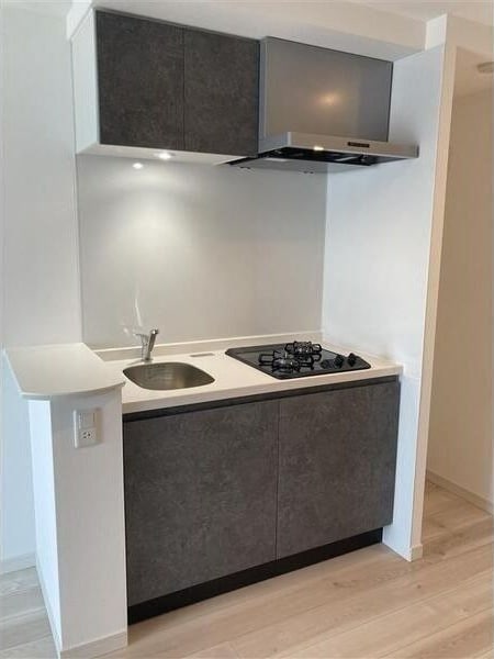 S-RESIDENCE亀島駅前ascentの物件内観写真