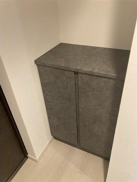 S-RESIDENCE亀島駅前ascentの物件内観写真