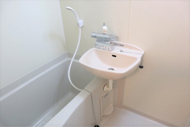 レオネクストＴｓｕｋｉｍｉの物件内観写真