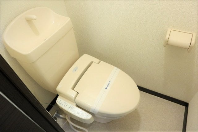 レオネクストＴｓｕｋｉｍｉの物件内観写真