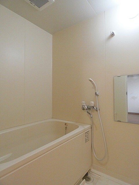 メゾンドラピュタⅡの物件内観写真