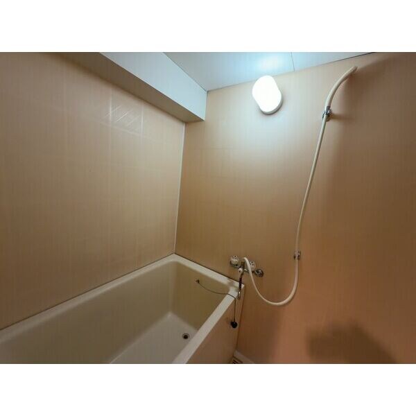 星ヶ丘駅 徒歩10分 7階の物件内観写真