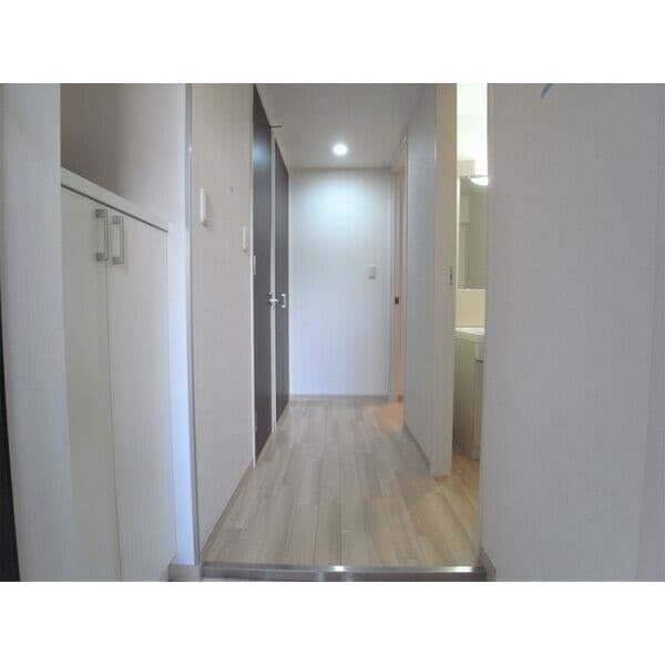 中村公園駅 徒歩5分 14階の物件内観写真