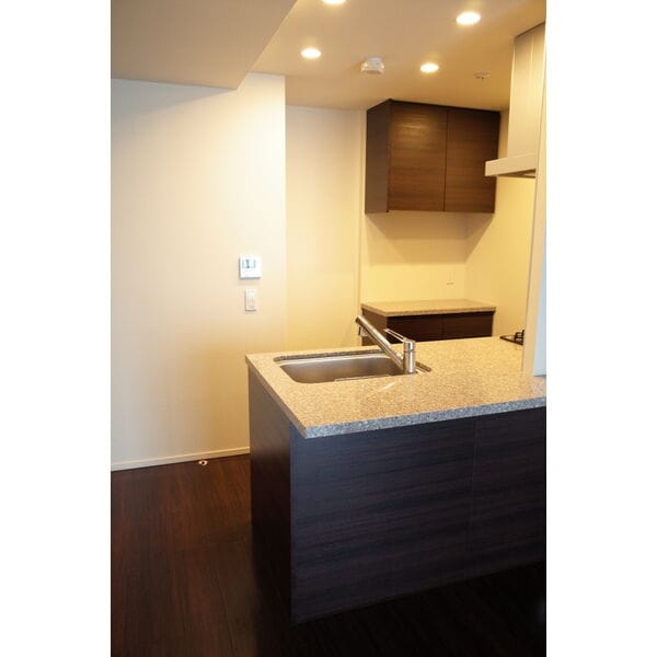 ザ・パークハウス久屋大通ローレルタワーの物件内観写真