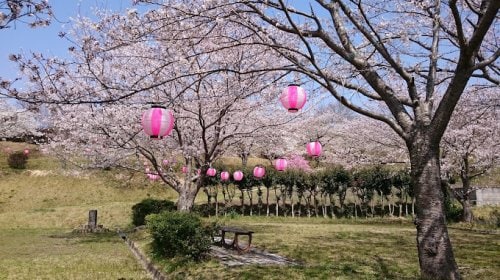 早雲の里荏原駅 徒歩13分 1階の物件内観写真