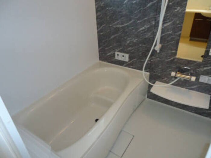 サフランの物件内観写真